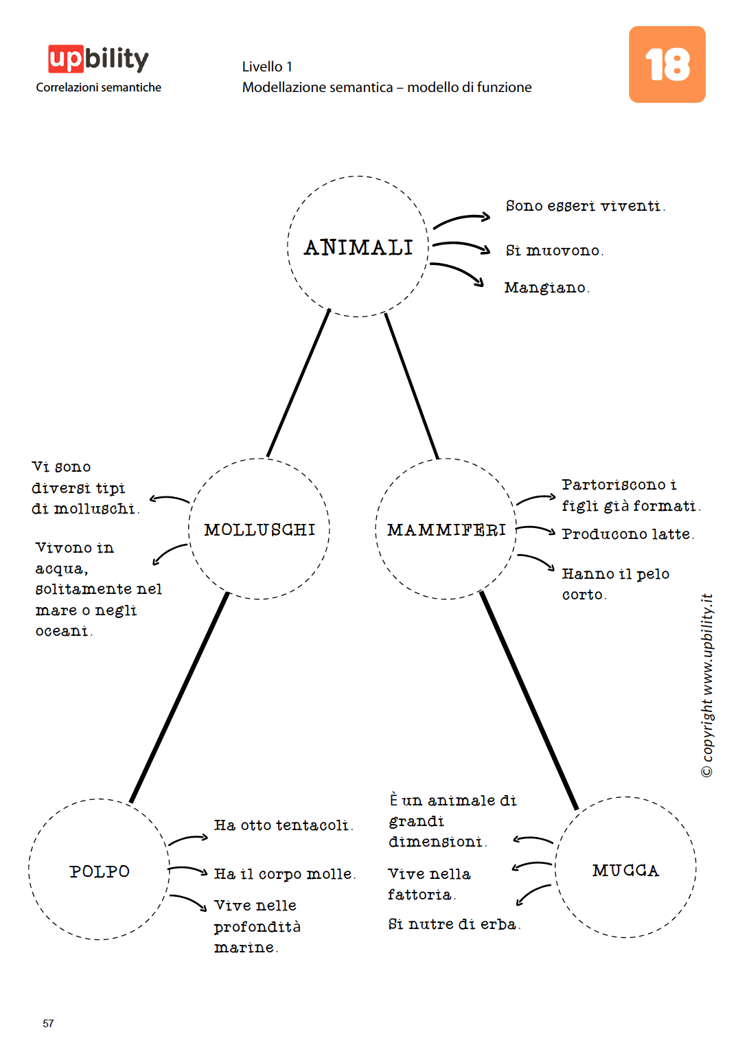 correlazioni-semantiche