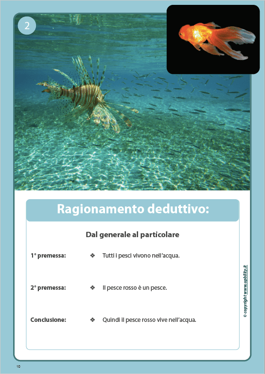 carte-illustrate-ragionamento-logico