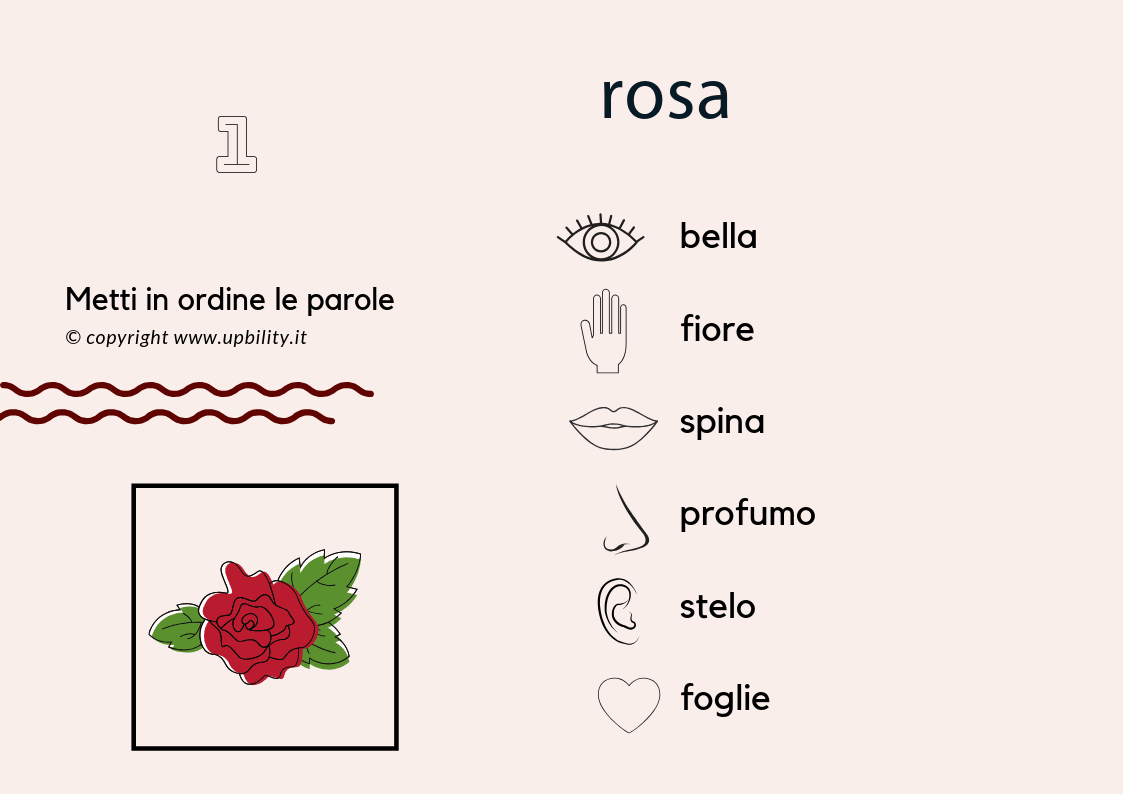 carte-tascabili-descrizione-parte-1