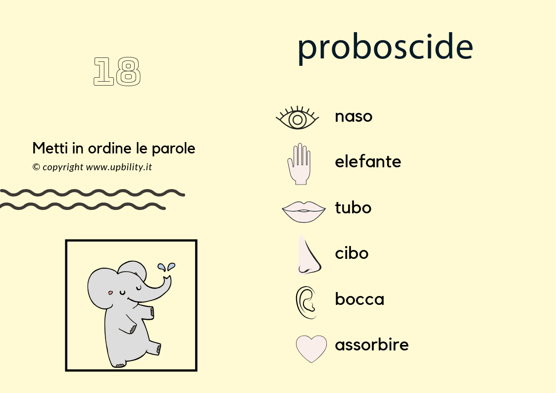 carte-tascabili-descrizione-parte-2