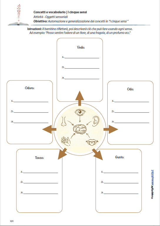 concetti-e-vocabolario-i-cinque-sensi