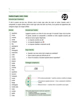 Le funzioni esecutive - Strategie di intervento | 6-12 anni