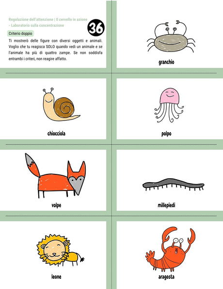 Le funzioni esecutive - Strategie di intervento | 6-12 anni