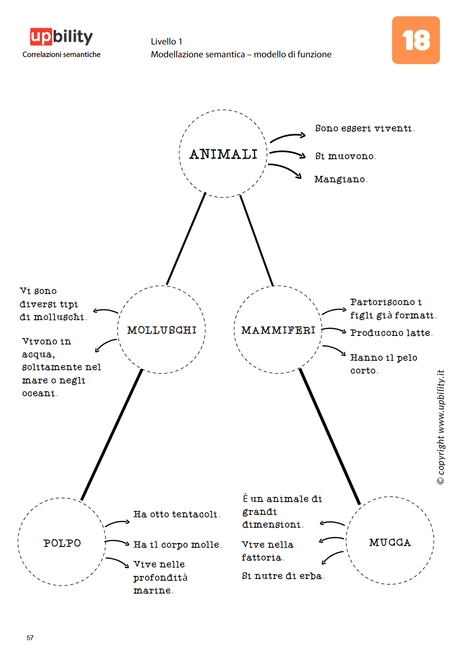 correlazioni-semantiche
