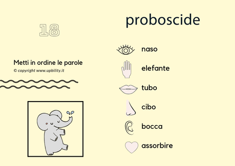 carte-tascabili-descrizione-parte-2