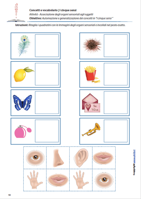 concetti-e-vocabolario-i-cinque-sensi