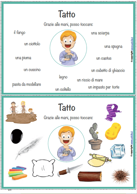 concetti-e-vocabolario-i-cinque-sensi