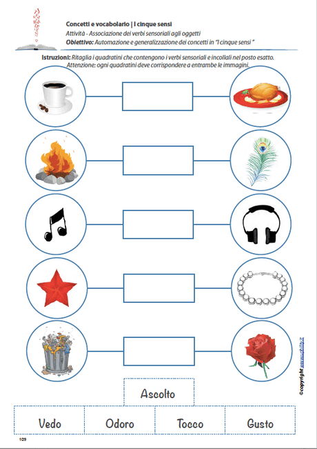concetti-e-vocabolario-i-cinque-sensi