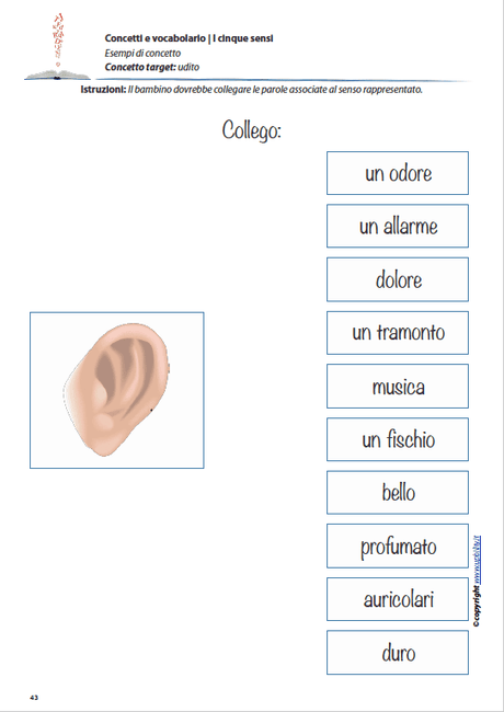 concetti-e-vocabolario-i-cinque-sensi
