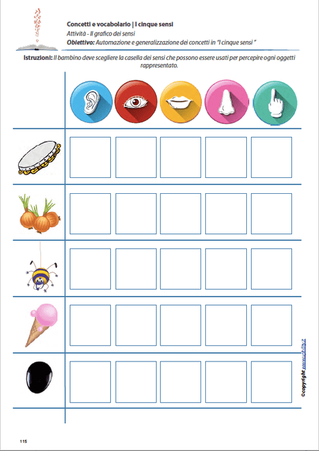 concetti-e-vocabolario-i-cinque-sensi