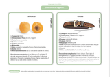 creare-le-abilita-descrittive-passo-dopo-passo