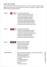 percezione-visiva-per-bambini-con-dislessia-parte-5-memoria-visiva-sequenziale