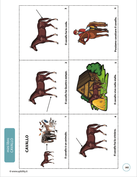 sviluppo-semantico-padroneggiare-il-vocabolario-di-base